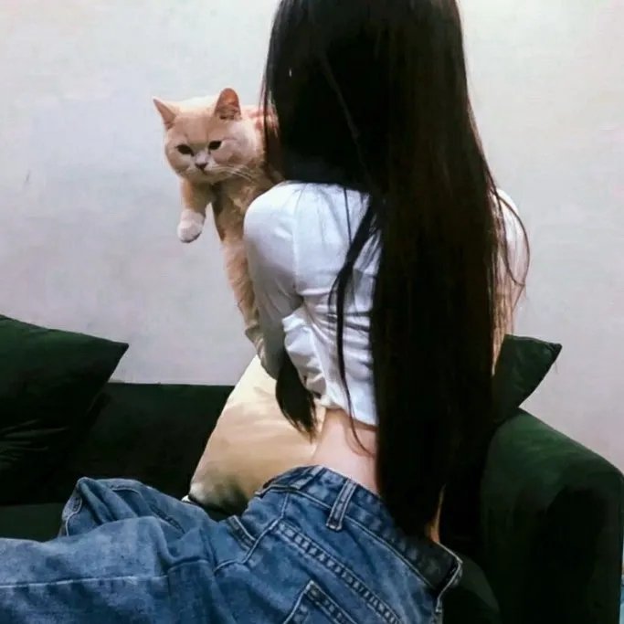 哥雅名画凶杀案